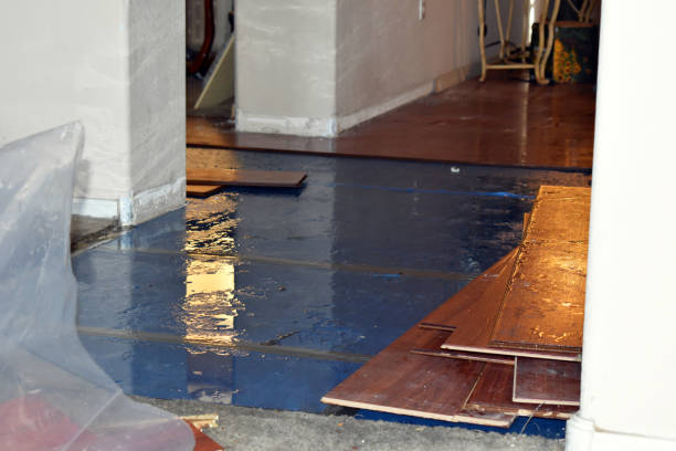 Professional Basement Flooding technician working in Yorktown, TX